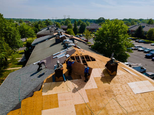 Best Storm Damage Roof Repair  in Weed, CA