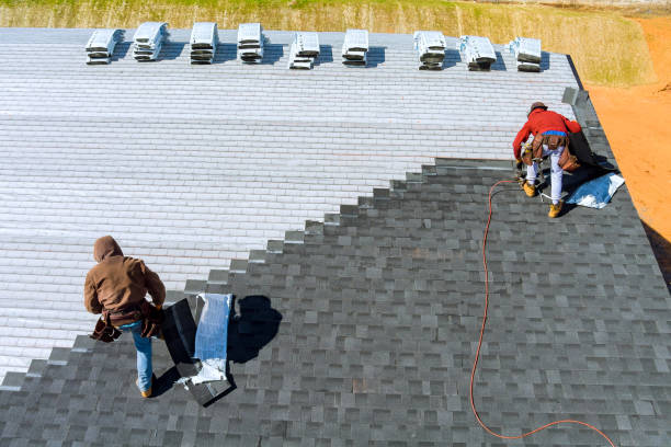 Best Local Roofing Companies  in Weed, CA